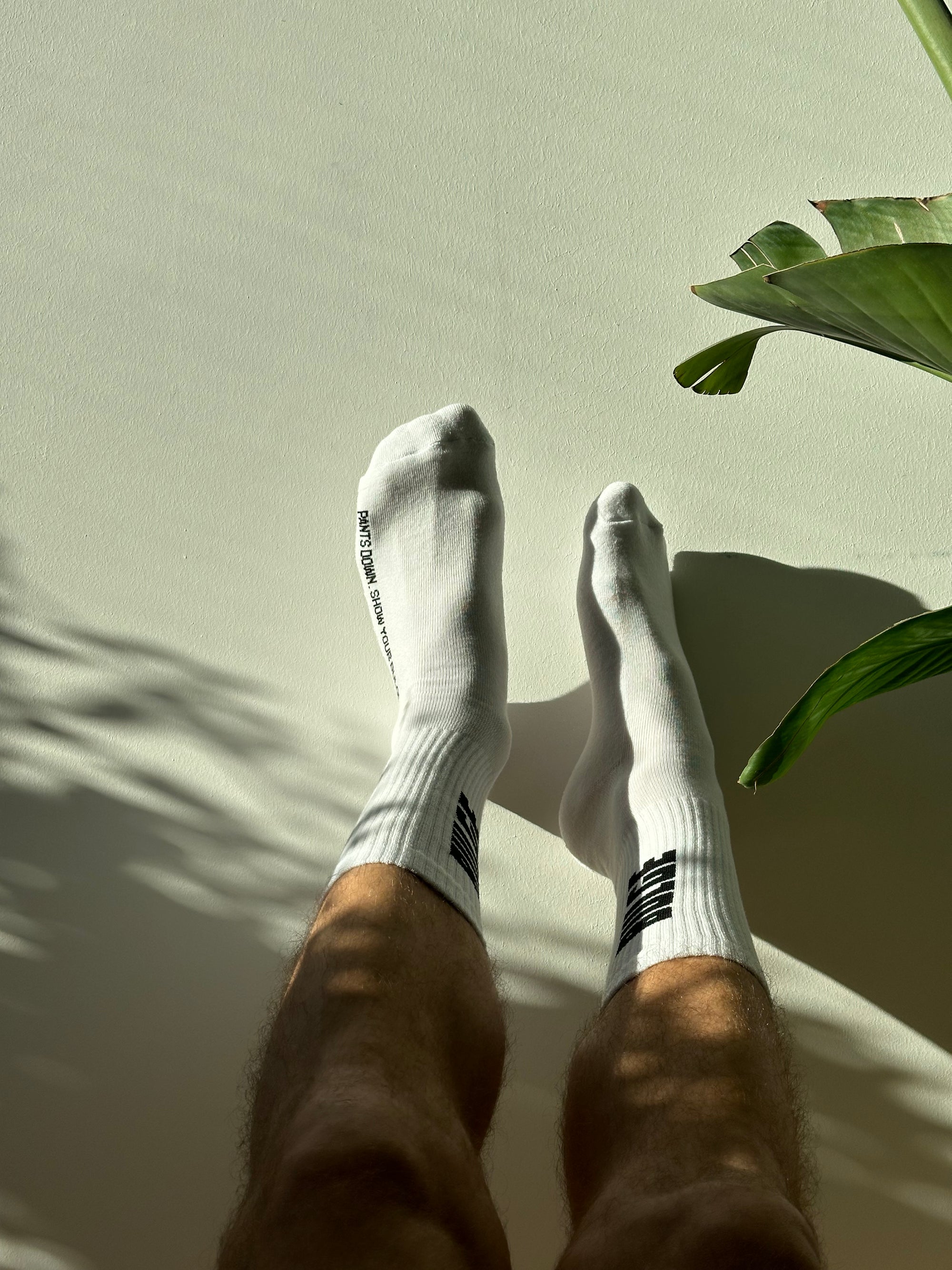 SOCKS SHOW YOUR BULGE WHITE · BLACK LOGO