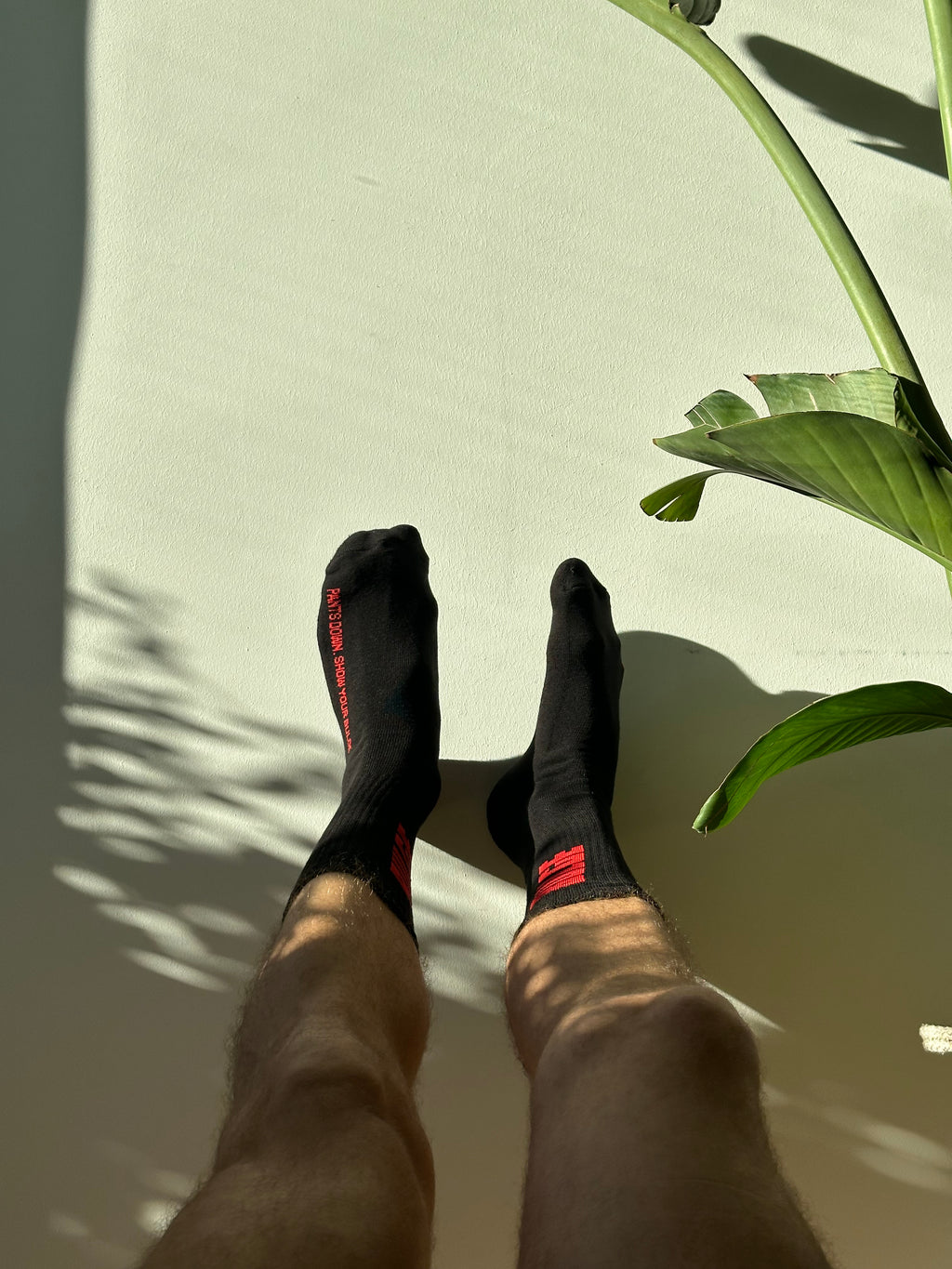 SOCKS SHOW YOUR BULGE BLACK · RED LOGO