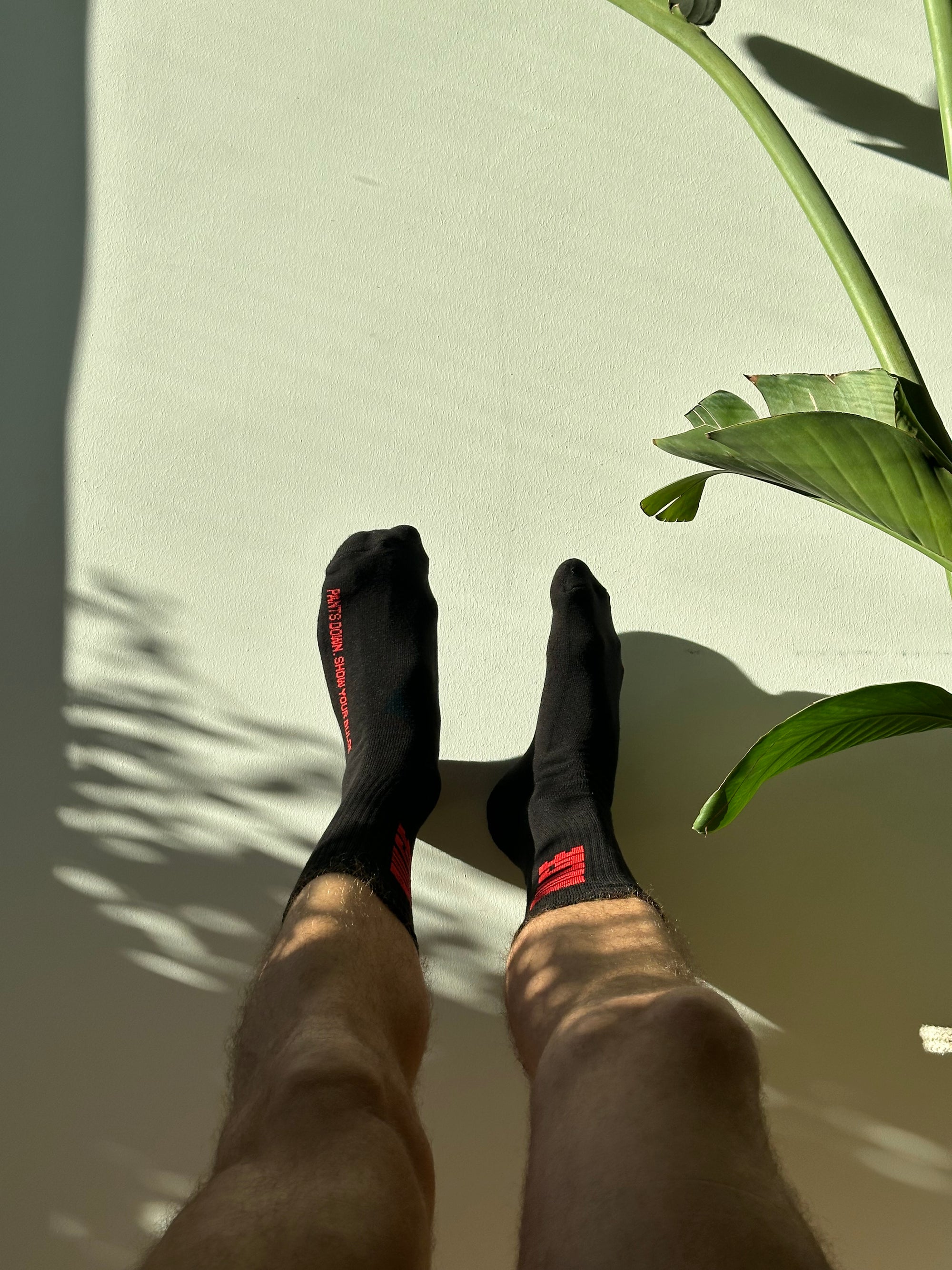 SOCKS SHOW YOUR BULGE BLACK · RED LOGO